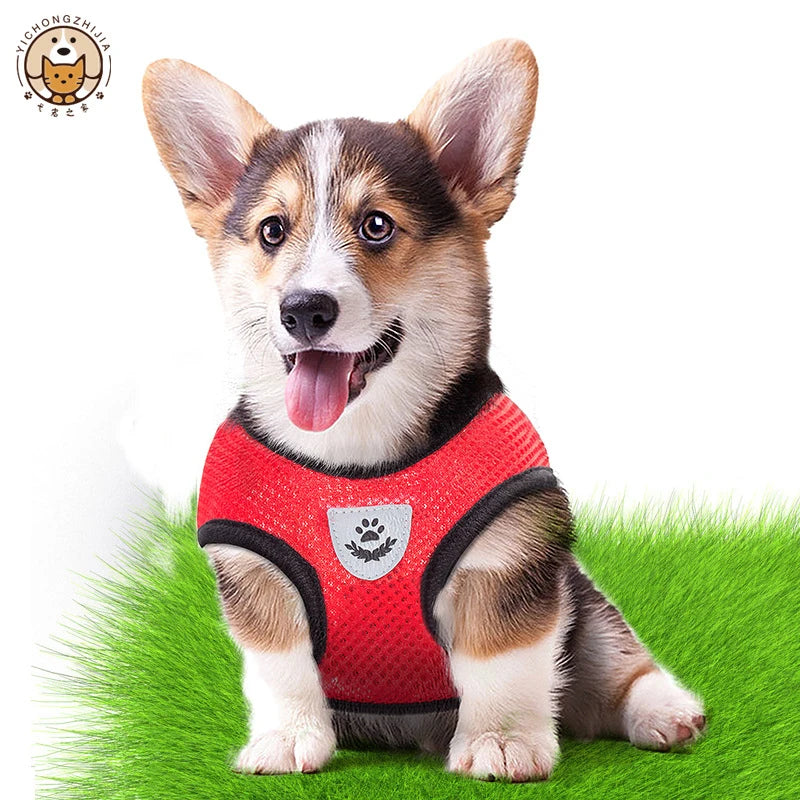 Katzengeschirr Weste Laufleine für Welpen Hundehalsband Polyester Verstellbares Mesh-Hundegeschirr für kleine und mittelgroße Haustiere Zubehör