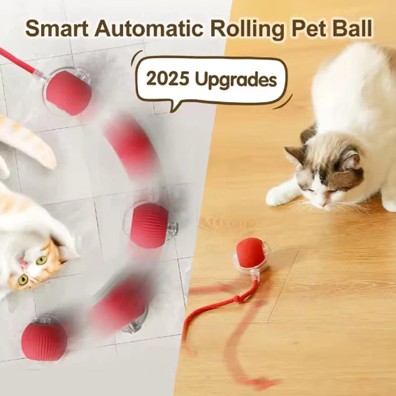 Katzenspielzeug Katze intelligente Katzenbälle, um Langeweile zu lindern, Kätzchen vermeiden Spielzeug Haustier elektrische Rollball Artefakt