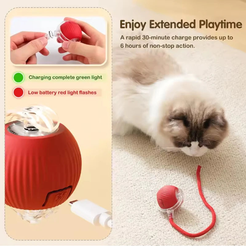Katzenspielzeug Katze intelligente Katzenbälle, um Langeweile zu lindern, Kätzchen vermeiden Spielzeug Haustier elektrische Rollball Artefakt